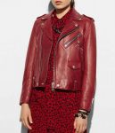 Shop Motorcycle Cardinal Red Leather Jacket