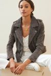 Shop Suede Moto Jacket For Women 